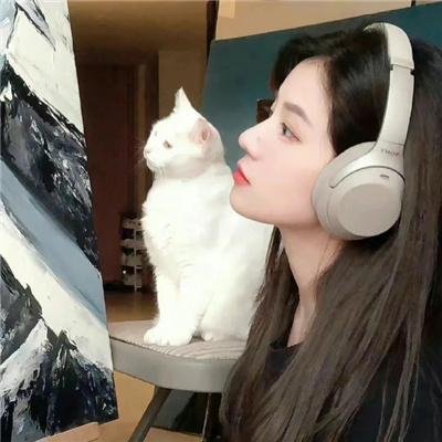 斯嘉丽小姐和公爵第二季